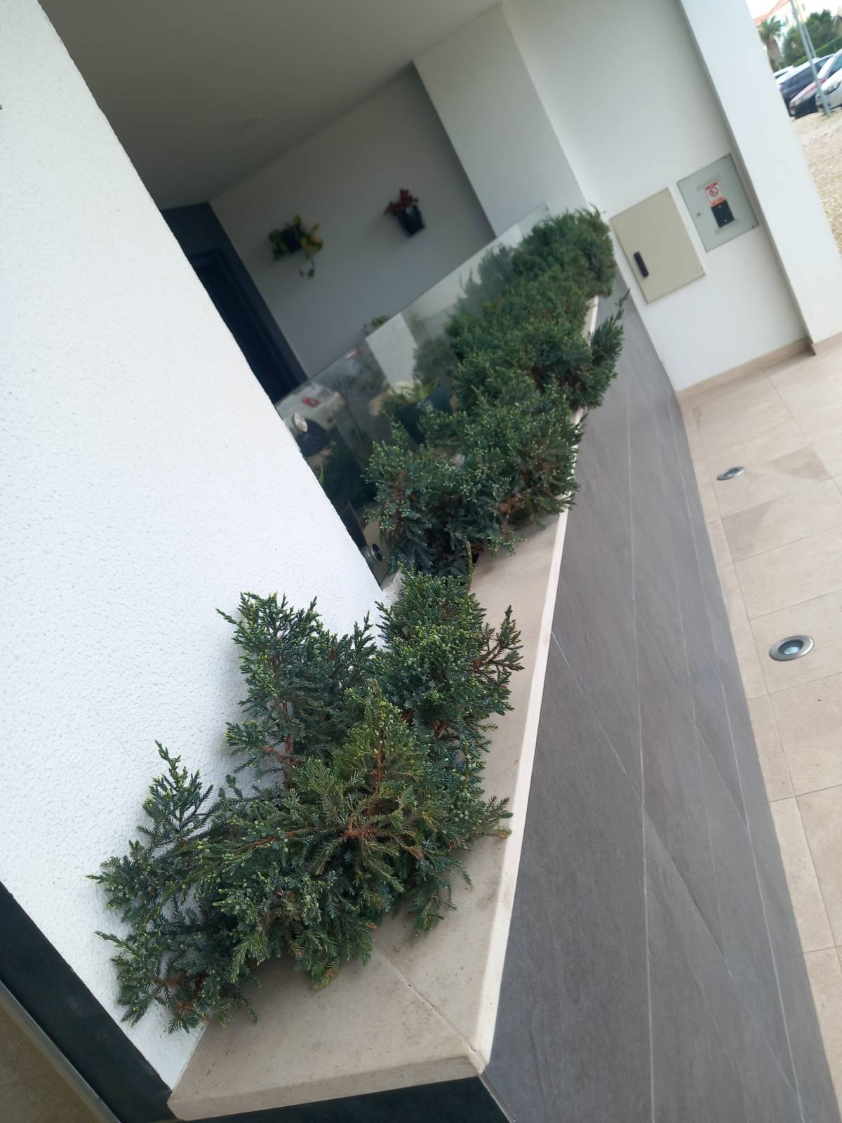margardens.marclear - Montijo - Quitanieves (Comercial)
