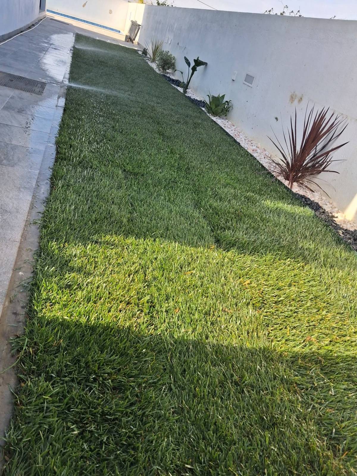 margardens.marclear - Montijo - Tree Stump Grinding and Removal