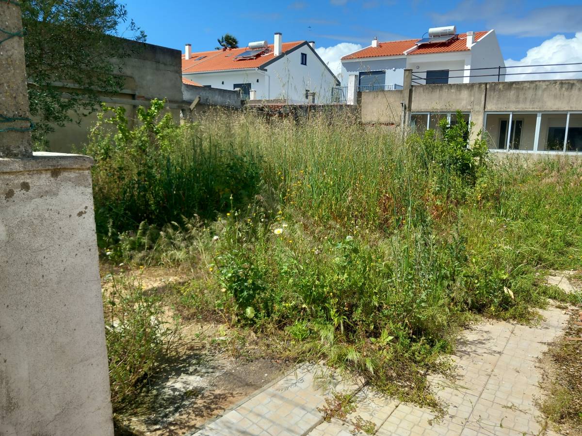 margardens.marclear - Montijo - Multiservicios de cuidados del césped (Recurrente)