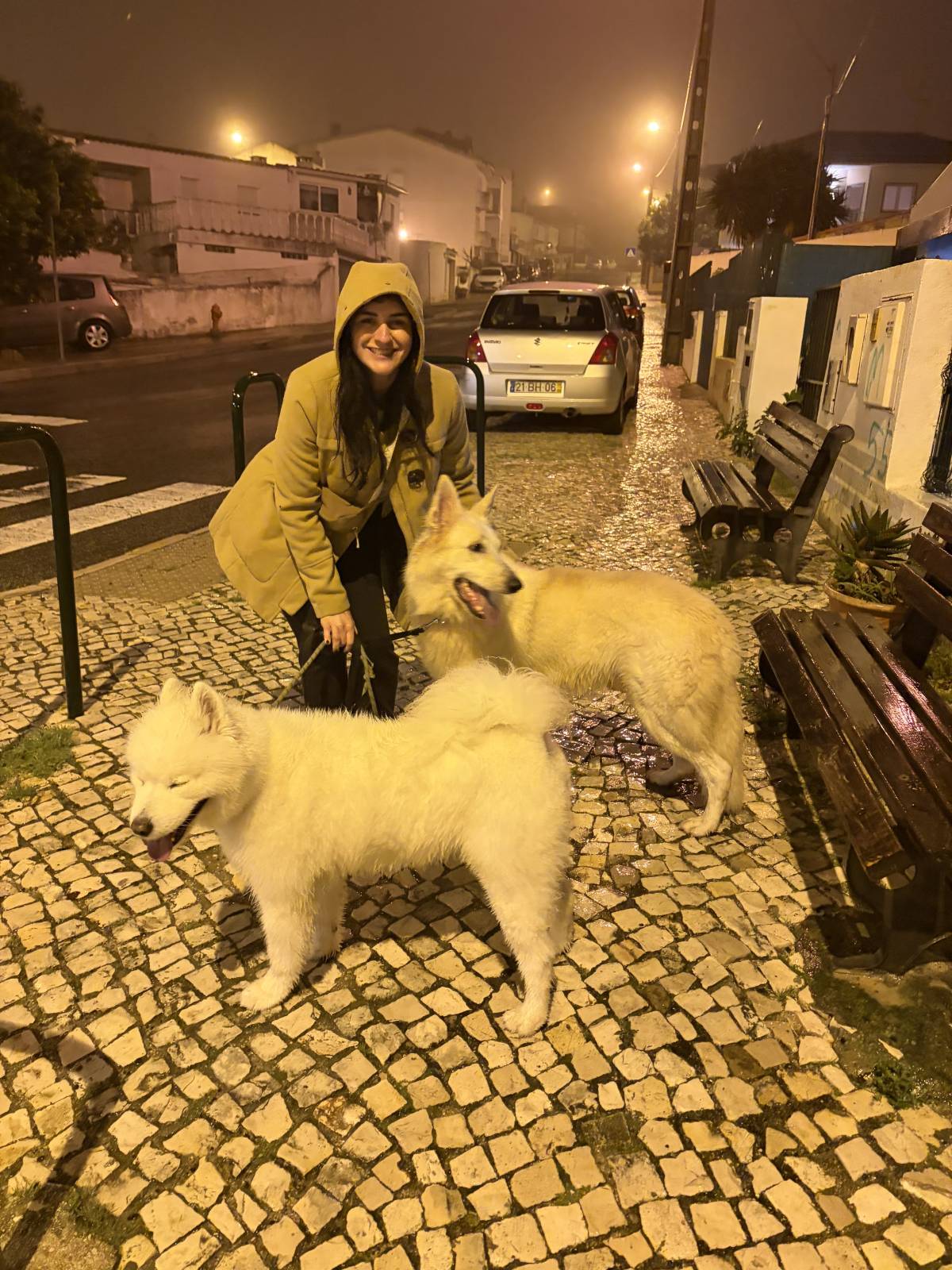 Pet Lover Fran - Lisboa - Dog Training - Private Lessons