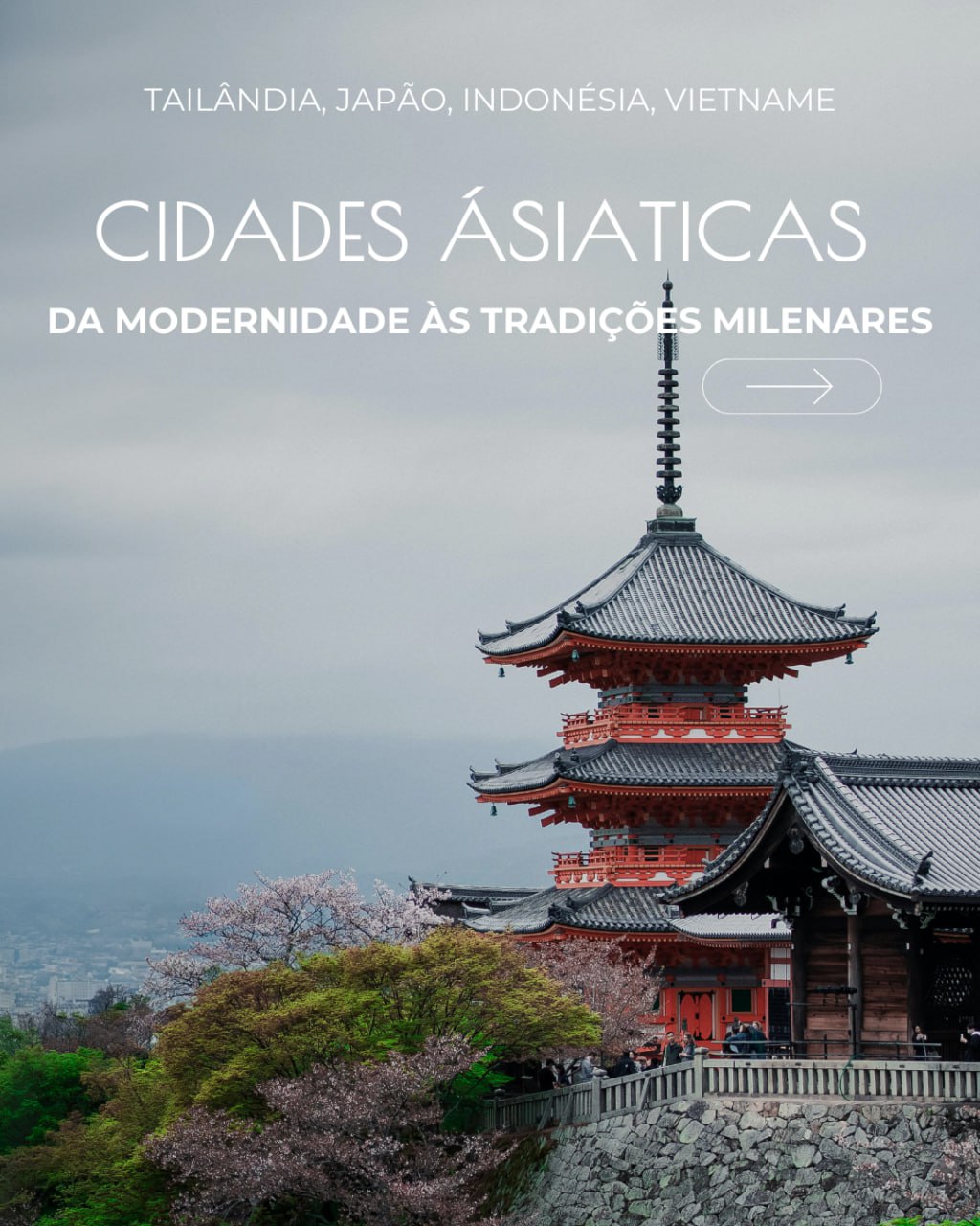 Liliana Silva - Viana do Castelo - Wine Tastings and Tours