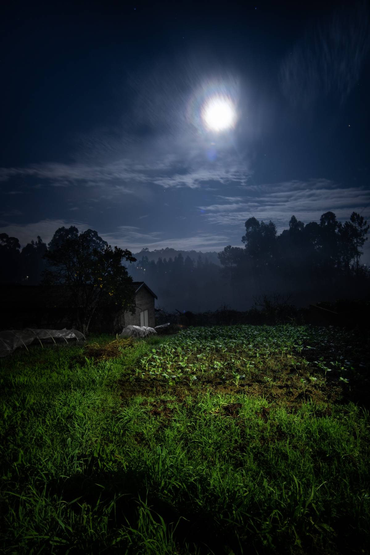Rui Ferreira - Vila Nova de Gaia - Photographer