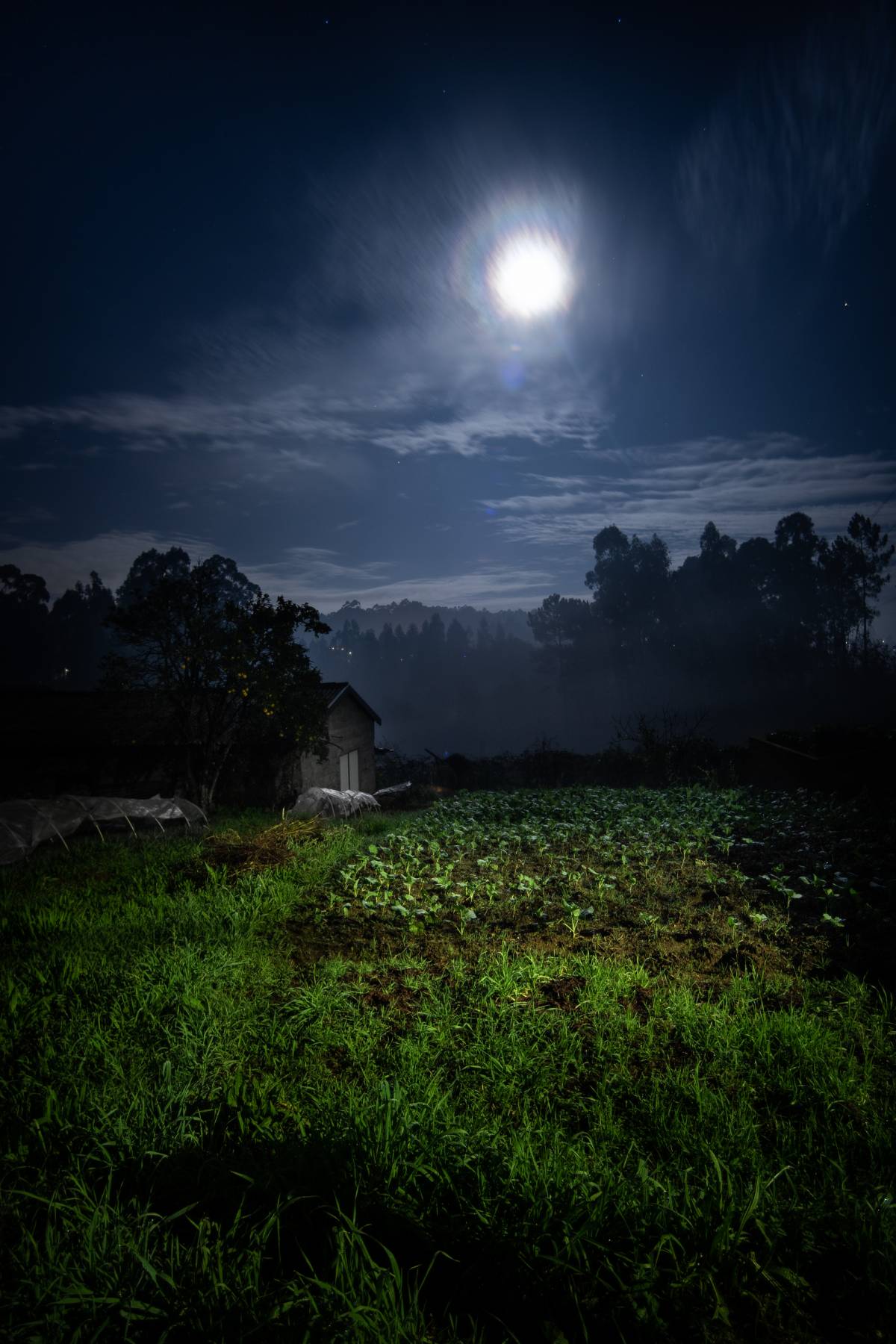 Rui Ferreira - Vila Nova de Gaia - Fotógrafo