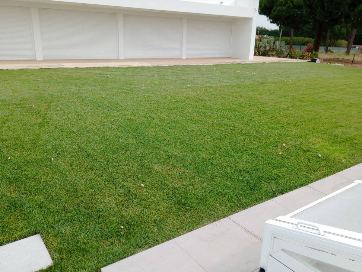 margardens.marclear - Montijo - Edging