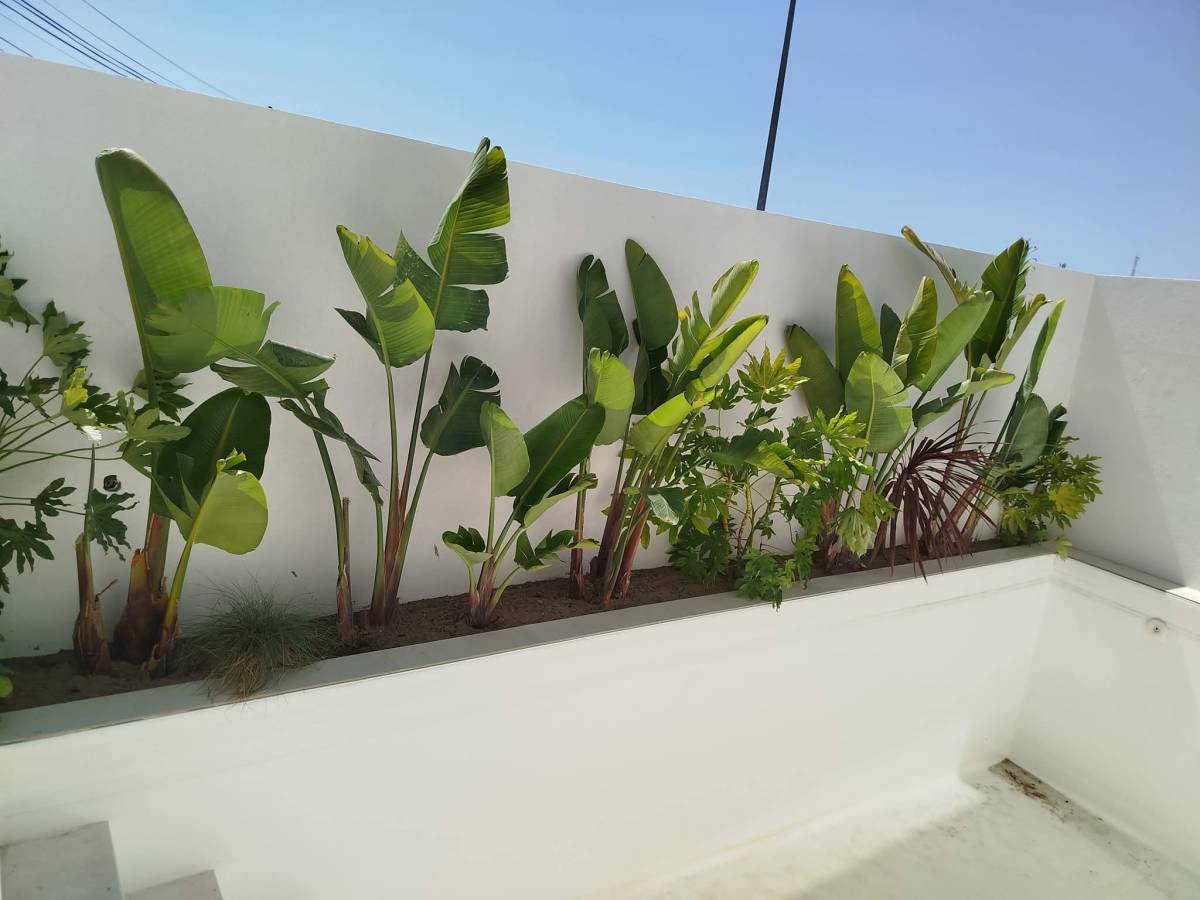 margardens.marclear - Montijo - Sprinkler System Installation