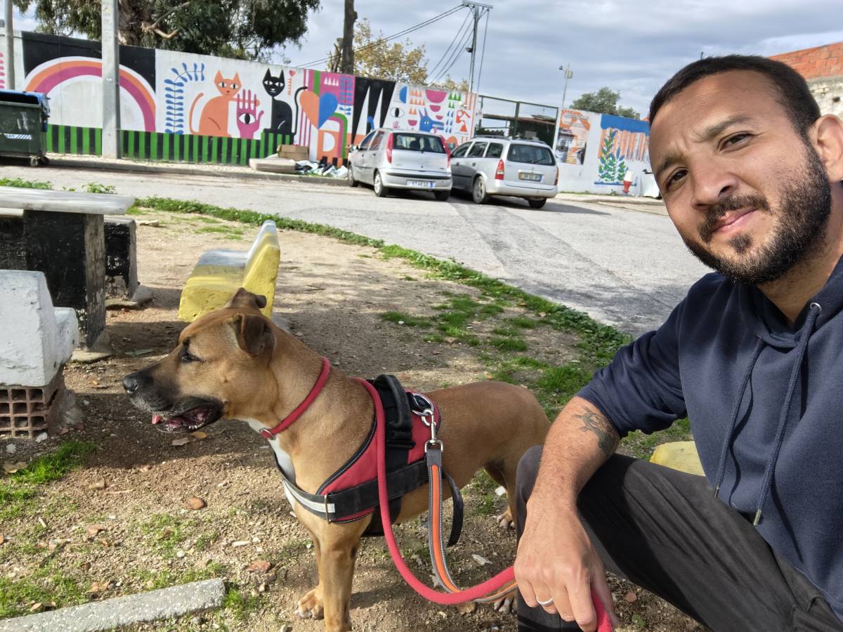 Lopes Treinador Canino - Lisboa - Dog Walking