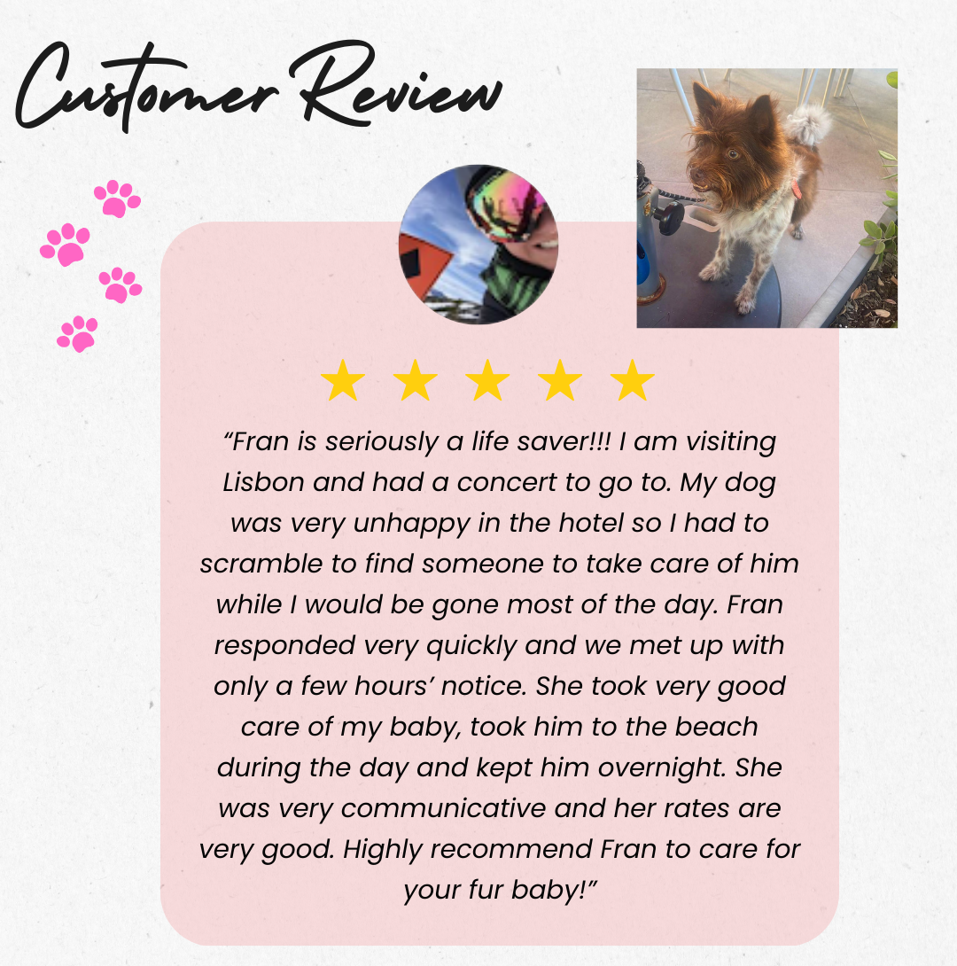 Pet Lover Fran - Lisboa - Cat Sitting