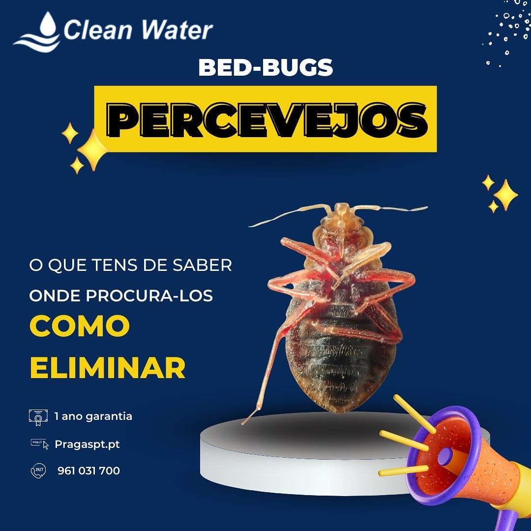 Clean water controlo de pragas - Sintra - Limpeza Após Mudanças