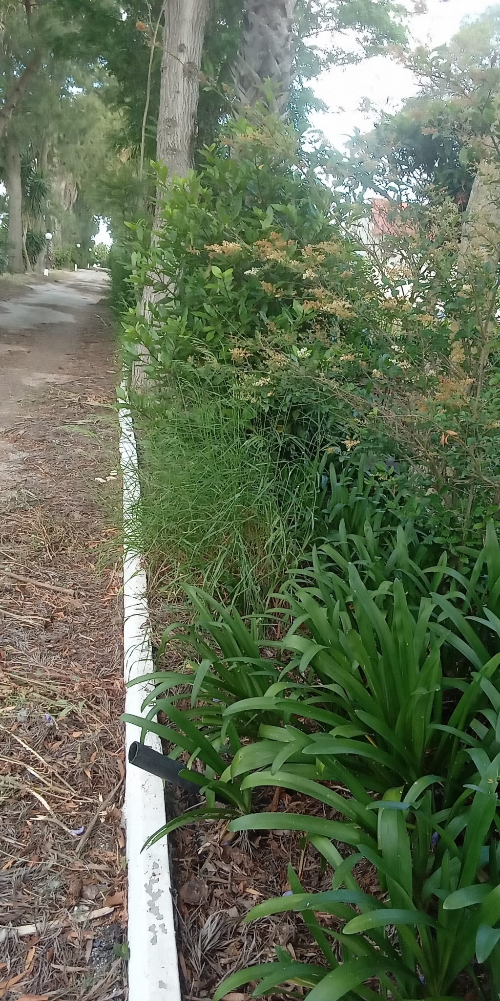 margardens.marclear - Montijo - Limpieza del hogar (recurrente)