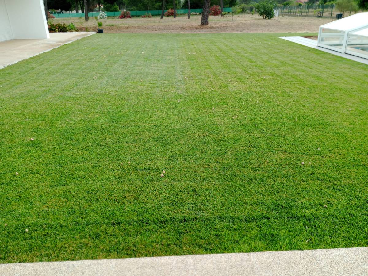 margardens.marclear - Montijo - Seeding