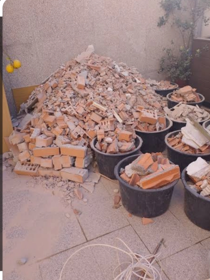 Fabiano silva - Estarreja - Tree Stump Grinding and Removal
