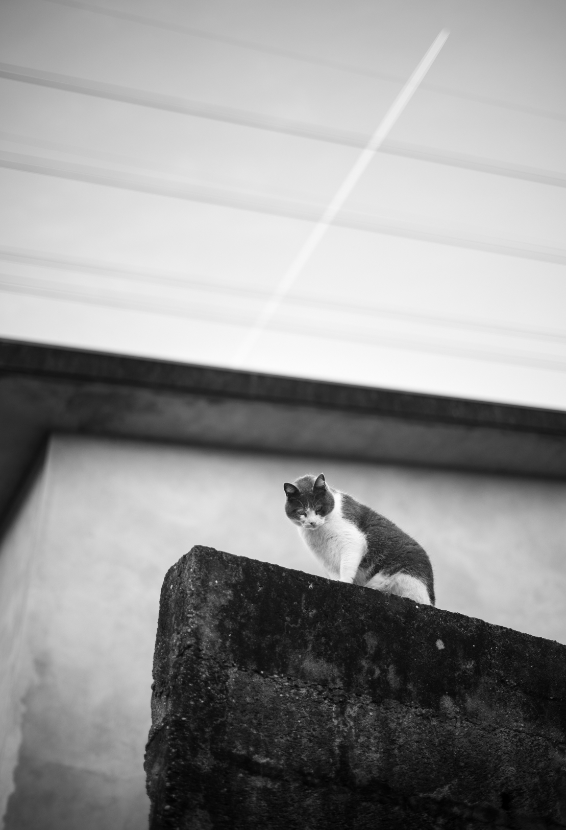 Rui Ferreira - Vila Nova de Gaia - Photographic Session