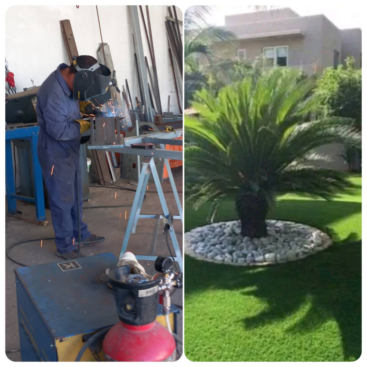 margardens.marclear - Montijo - Move-in or Move-out Cleaning