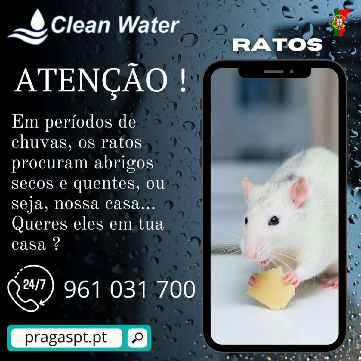Clean water controlo de pragas - Sintra - Limpeza de Janelas