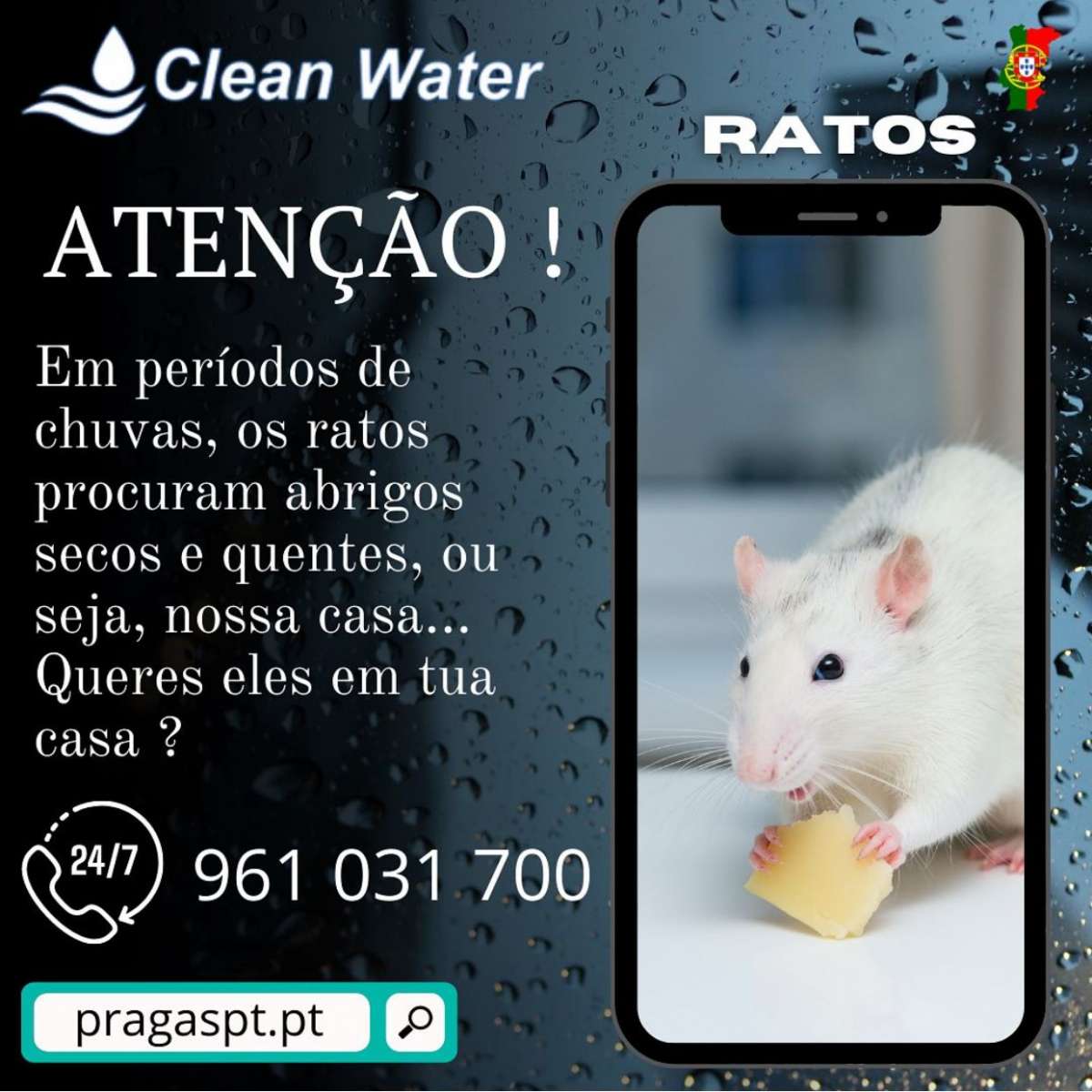 Clean water controlo de pragas - Sintra - Shrub Removal