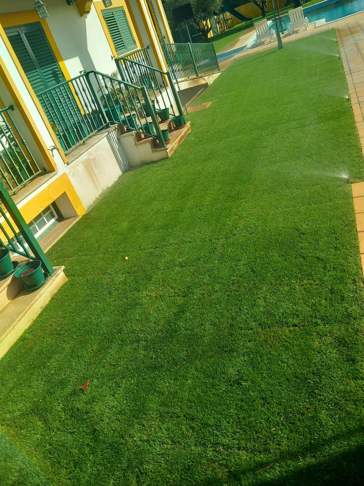 margardens.marclear - Montijo - Mulching