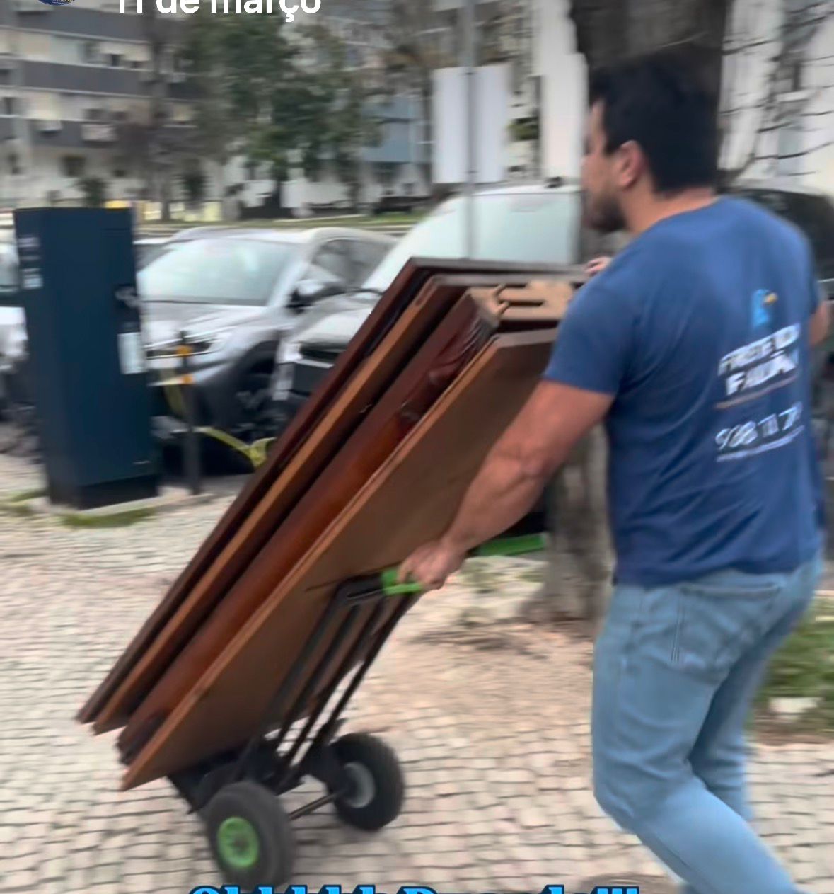 Falcão Mudanças - Setúbal - Umzugsfirma - Fernumzug