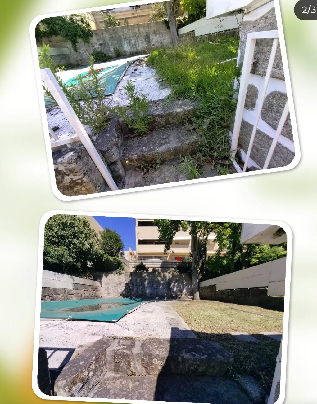 Arbo Jardinagem - Porto - Remoção de Arbustos