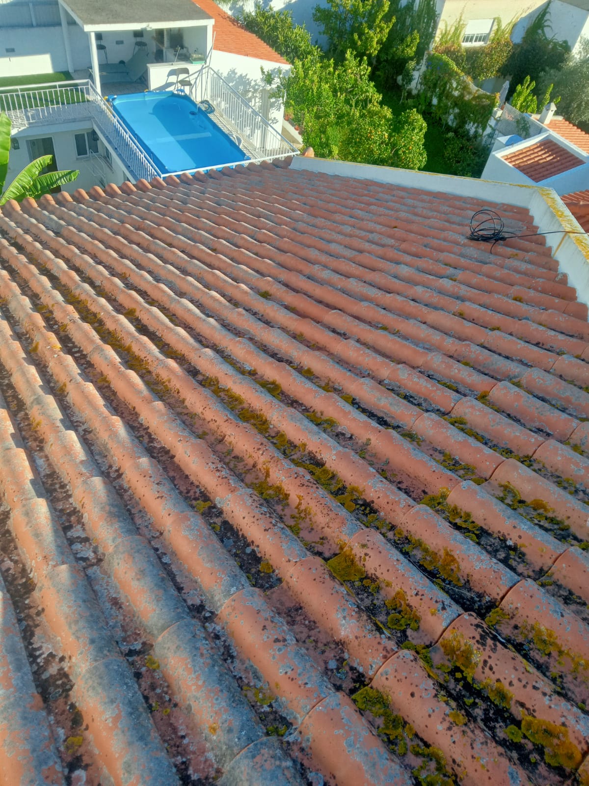 Roof Cleaner