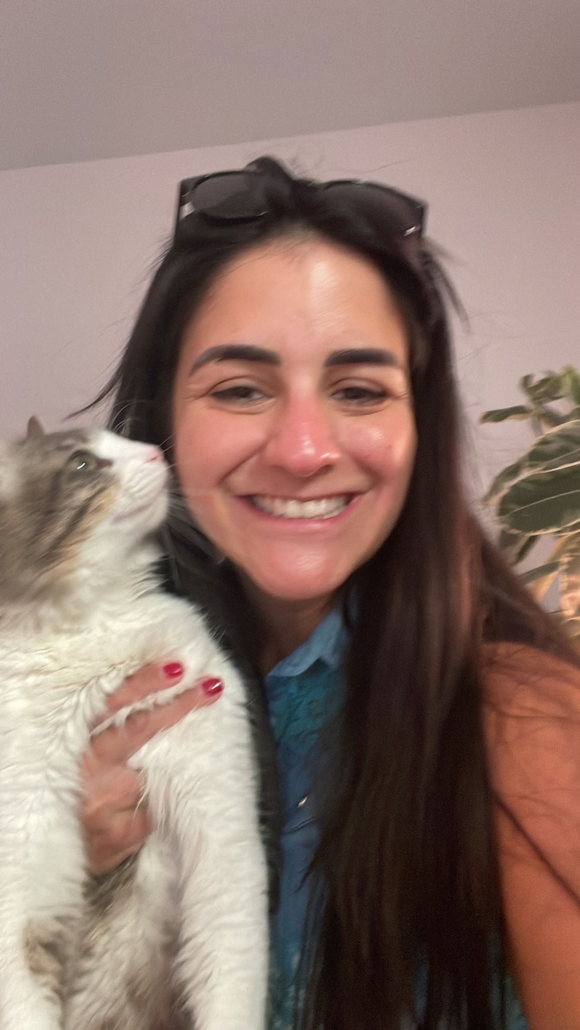 Pet Lover Fran - Lisboa - Pet Sitting