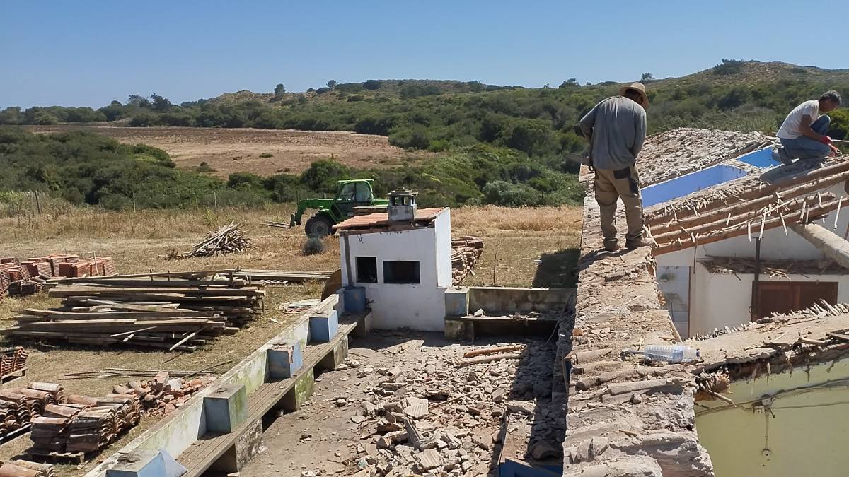Europa construções e trabalhos verticais - Loures - Gardening