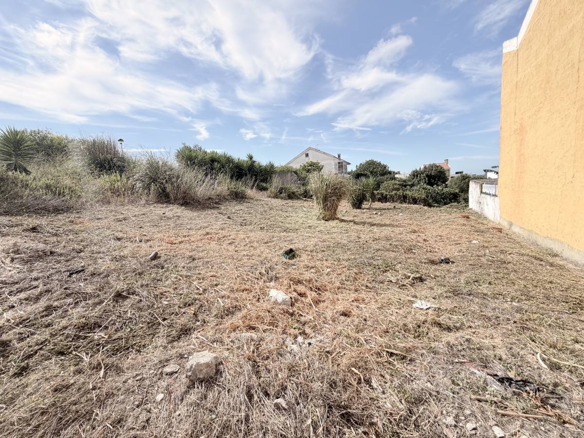 Monica e Micael - Vila Franca de Xira - Quitanieves (Residencial)