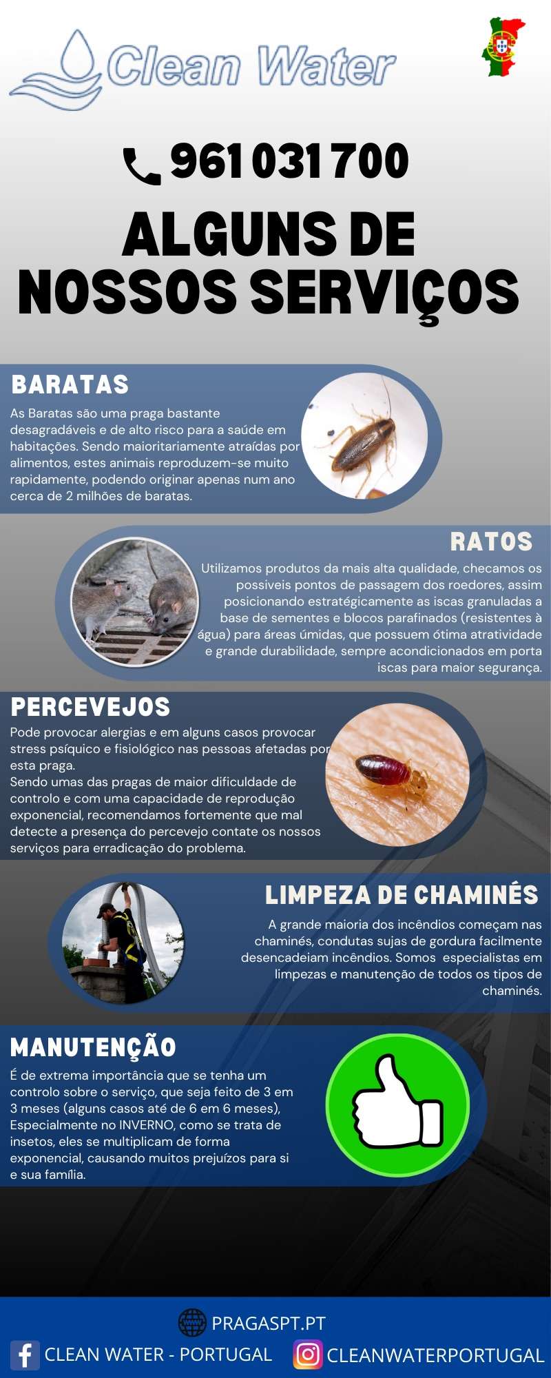 Clean water controlo de pragas - Sintra - Pest Control Services