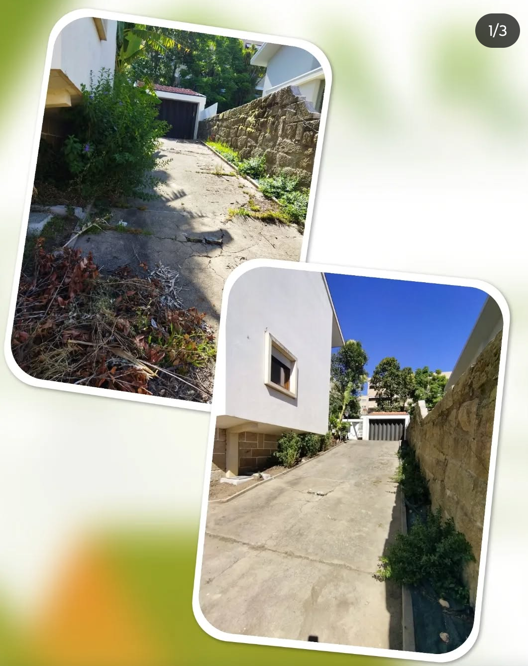 Arbo Jardinagem - Porto - Estufas