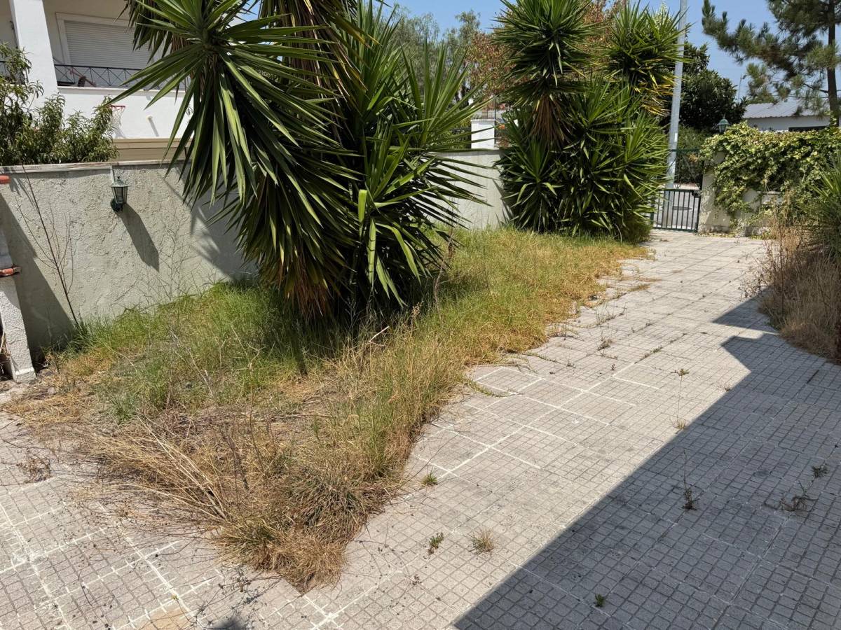 Monica e Micael - Vila Franca de Xira - Servicios de planchado