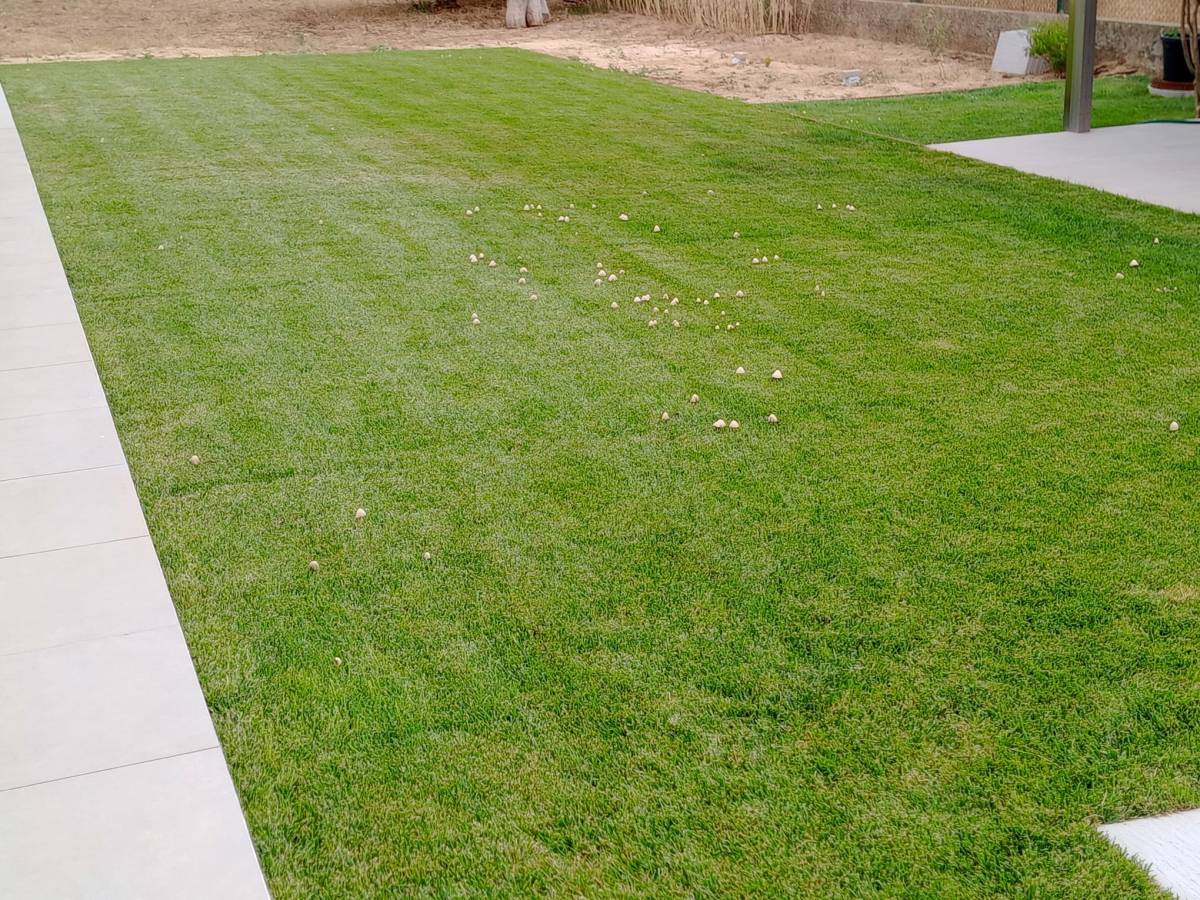 margardens.marclear - Montijo - Odor Removal