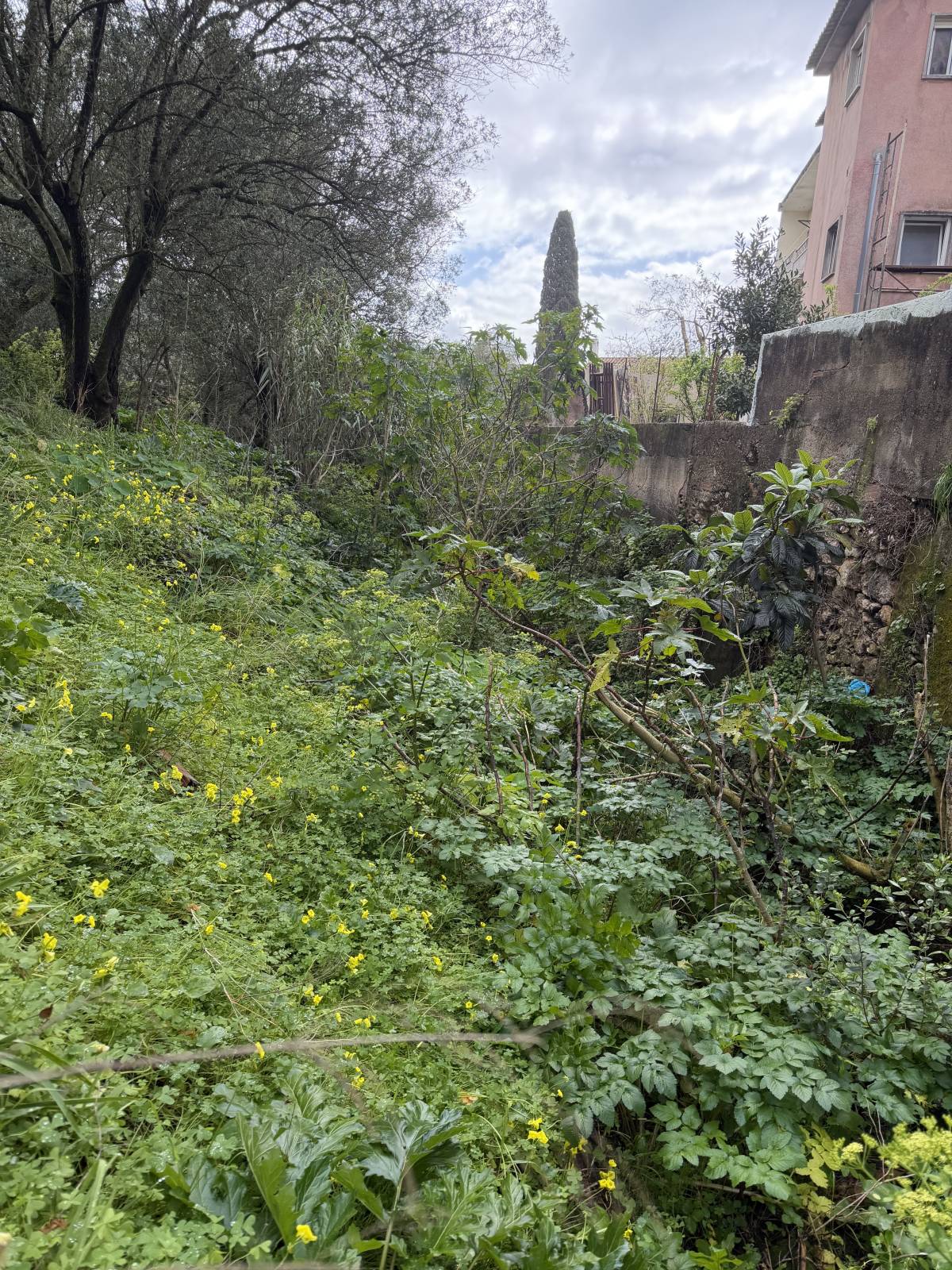 Monica e Micael - Vila Franca de Xira - Jardinería