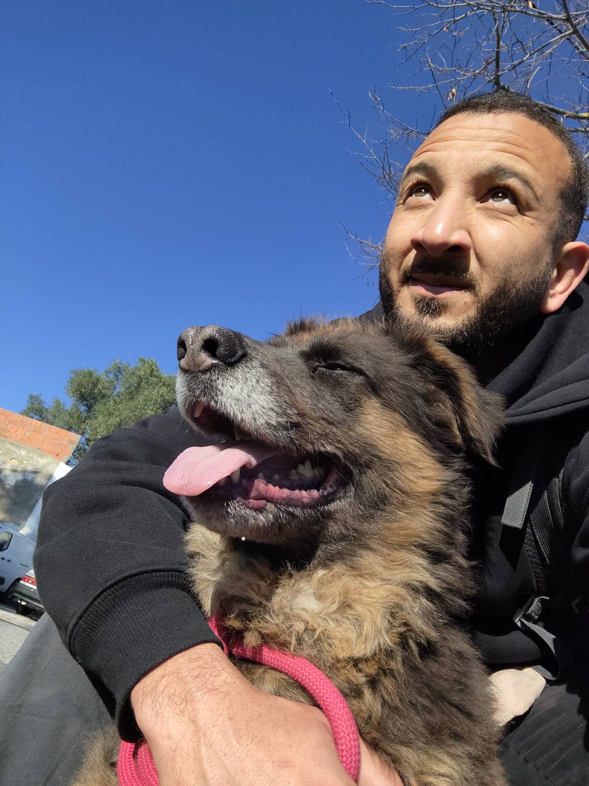 Lopes Treinador Canino - Lisboa - Cat Sitting