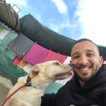 Lopes Treinador Canino - Lisboa - Treino de Cães - Aulas