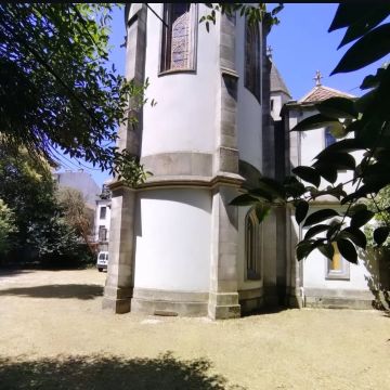 Arbo Jardinagem - Porto - Remoção de Tronco de Árvore
