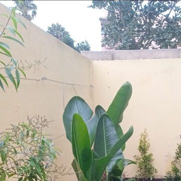 margardens.marclear - Montijo - Shrub Planting