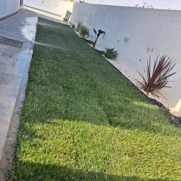 margardens.marclear - Montijo - Tree Stump Grinding and Removal
