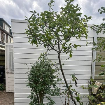 Galheirobouw construção - Portimão - Home Remodeling