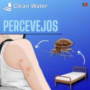 Clean water controlo de pragas - Sintra - Multi Service Lawn Care