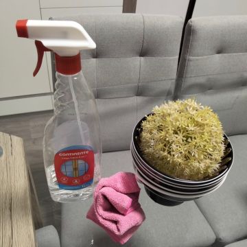 Fábrica das Limpezas - Cuidados da casa e da Familia -  Babysitting - Lisboa - Limpeza da Casa (Recorrente)