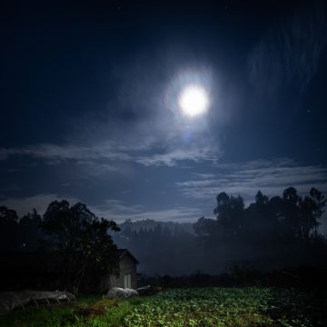 Rui Ferreira - Vila Nova de Gaia - Photographer