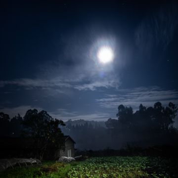 Rui Ferreira - Vila Nova de Gaia - Fotógrafo