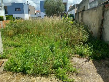 margardens.marclear - Montijo - Multiservicios de cuidados del césped