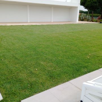 margardens.marclear - Montijo - Edging