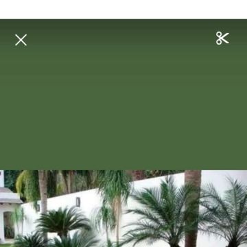 margardens.marclear - Montijo - Pressure Washing