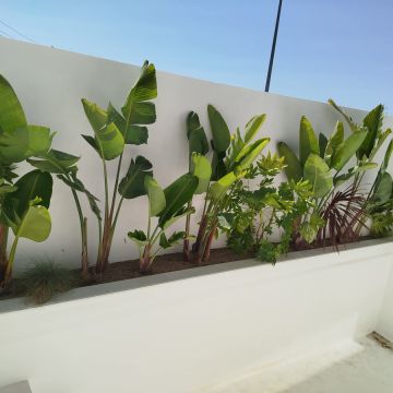 margardens.marclear - Montijo - Sprinkler System Installation