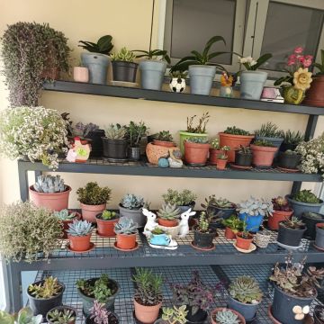 margardens.marclear - Montijo - Deep or Spring Cleaning