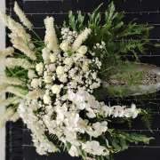 Rajiv Ravi - Lisboa - Florists