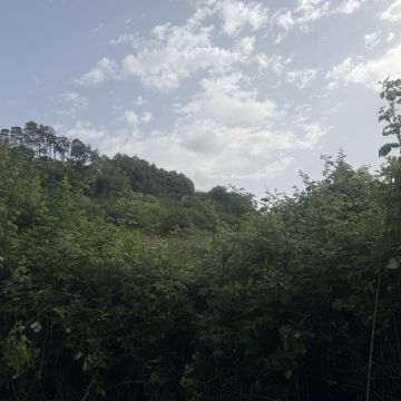 Monica e Micael - Vila Franca de Xira - Limpieza para mudanzas