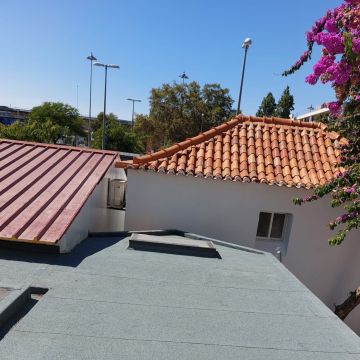Daniel Rocha dos Reis - Cascais - Waste Removal