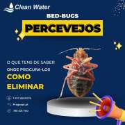 Clean water controlo de pragas - Sintra - Windows Cleaning